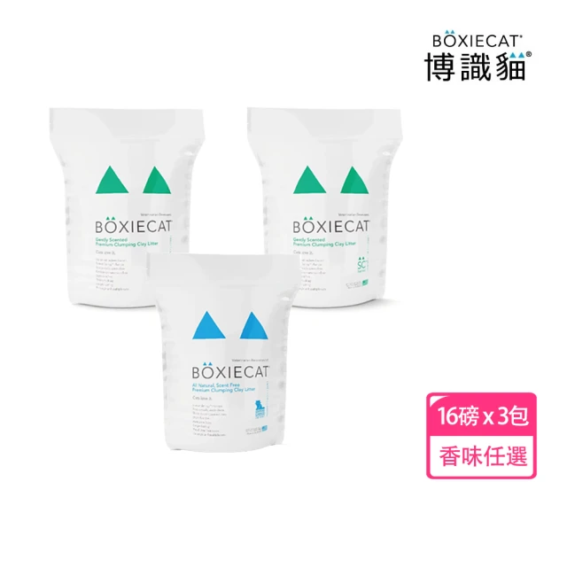 ODOUT 臭味滾 無香除臭瞬吸礦砂4kg-四包組(天使貓砂