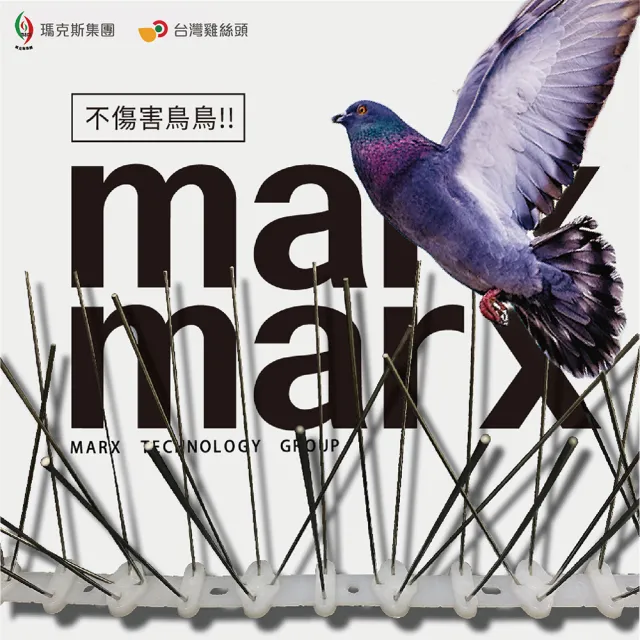 【台灣雞絲頭】防鳥刺(防鳥｜驅趕)