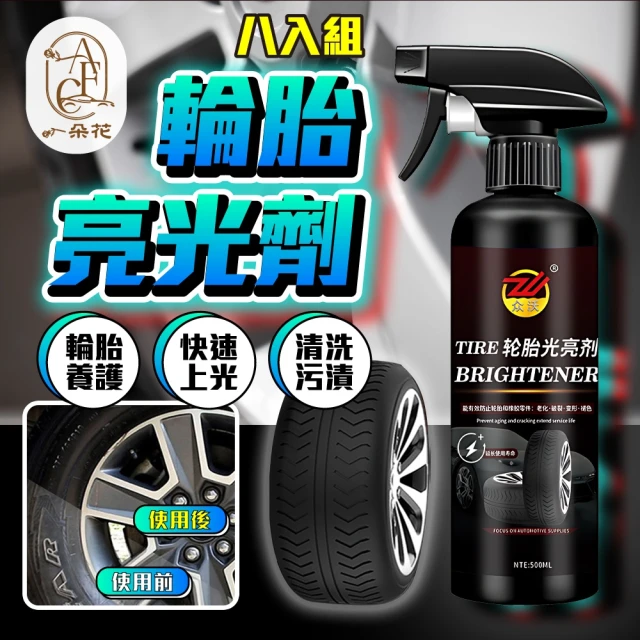 Turtle Wax 龜牌 鋁合金鋼圈清潔劑玩家組-500毫