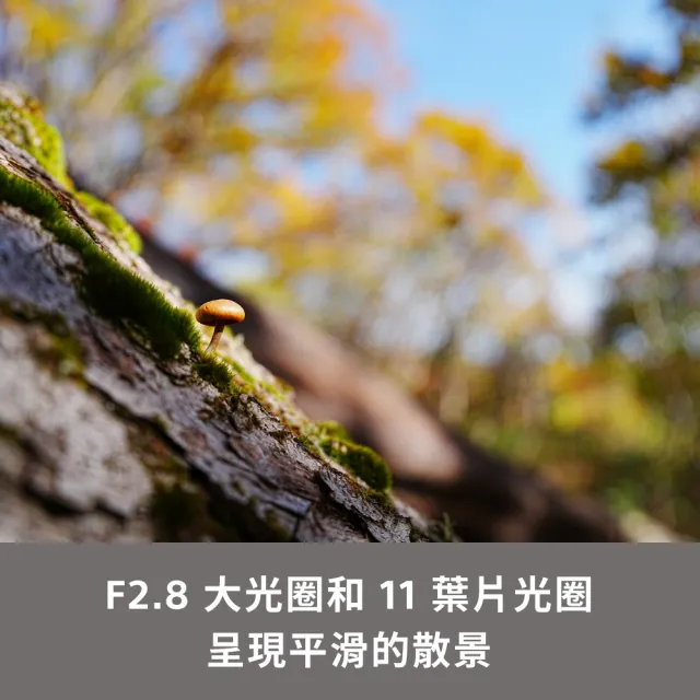 【SONY 索尼】FE 16-25mm F2.8 G/SEL1625G(公司貨)