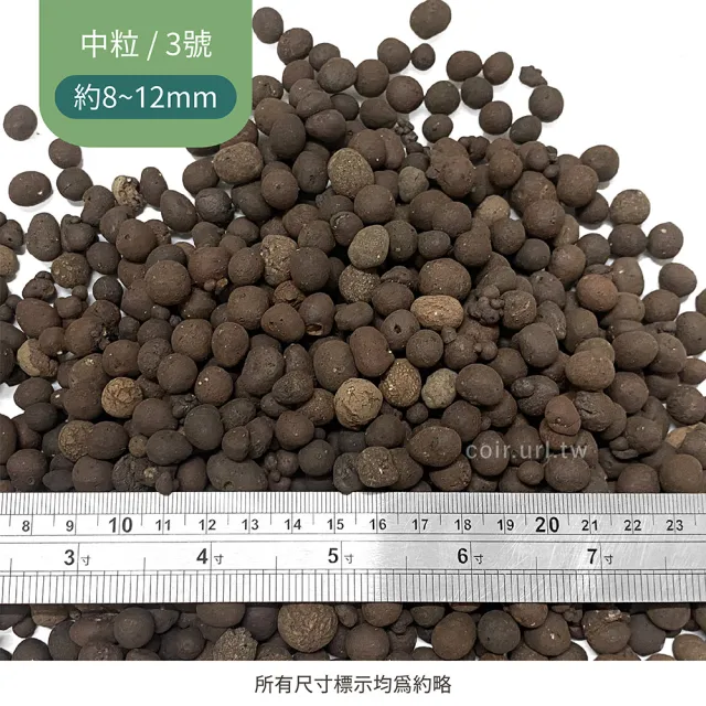 【瘋狂植物社】發泡煉石2公升裝_中粒_3號8~12mm(陶粒、水耕、礫耕、多肉植物)