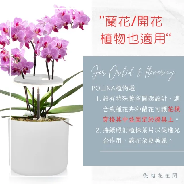 【微糖花植間】Polina全光譜植物生長燈(天使光環植物燈)