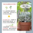 【微糖花植間】Polina全光譜植物生長燈(天使光環植物燈)