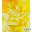 【GOOD LIFE 品好生活】珍珠室內芳香劑200g（柑橘）(日本直送 均一價)