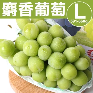【甜露露】日本長野縣/山梨縣麝香葡萄L x1盒(591-660g/串 產地隨機出貨)