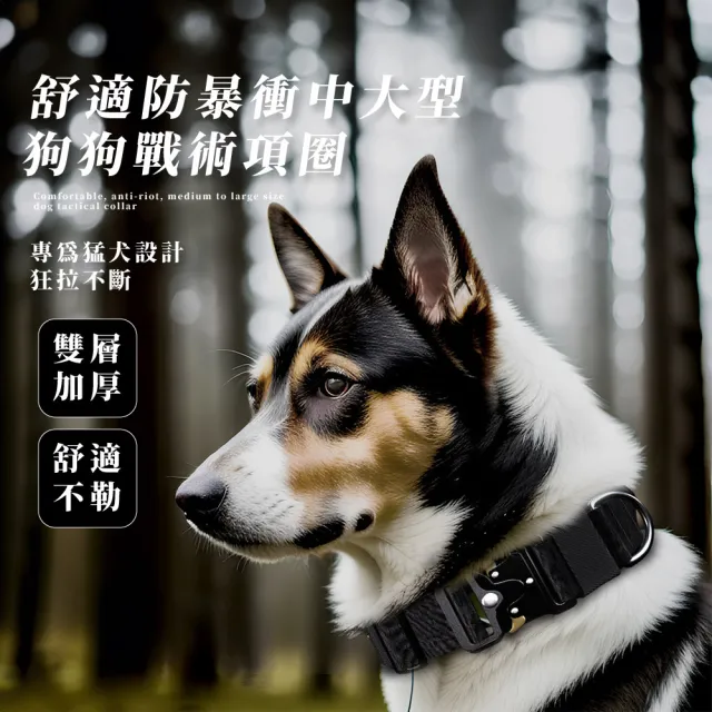【耐磨牢固】舒適防暴衝中大型狗狗戰術項圈(遛狗 戶外牽引 頸圈 頸鍊 頭套 犬 配件 寵物用品)