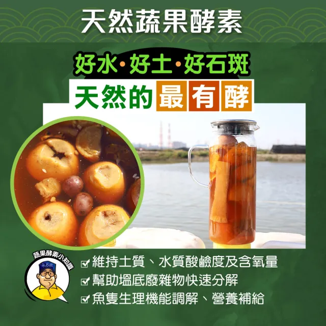 【蘇班長安心石斑】龍虎石斑鮮魚切塊300g 6入組 歐盟食安標準 得獎最多的石斑(通過清真認證 純鑽石水養殖)