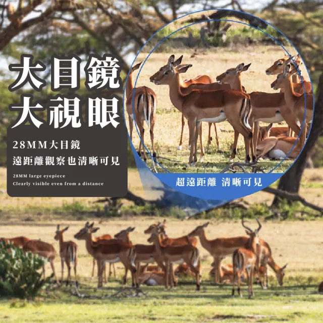 【追星必備】60x60微光夜視雙筒望遠鏡(高清 10倍放大 賞鳥 演唱會 球賽 外出旅遊 露營配件 虹膜夜視)