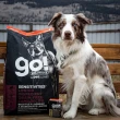 【Go!】低致敏羊肉6磅 狗狗低敏系列 單一肉無穀天然糧(狗糧 狗飼料 護毛 皮膚敏感)