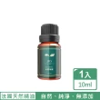 【JMScent】馬卡龍香氛機+精油超值組