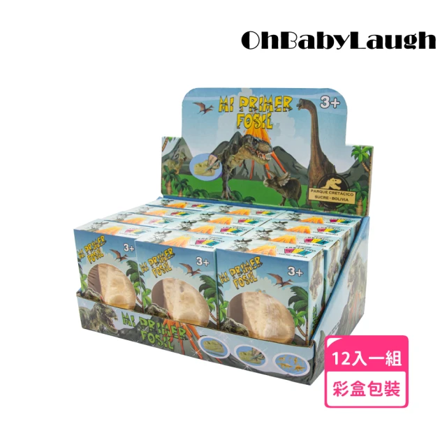 OhBabyLaugh 挖掘考古玩具 恐龍化石(模型玩具/恐龍模型/挖掘考古DIY玩具/侏儸紀公園)