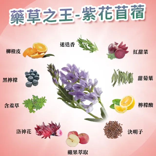 【iVENOR】十時塑花草茶x9盒(10包/盒;廖家儀見證推薦)