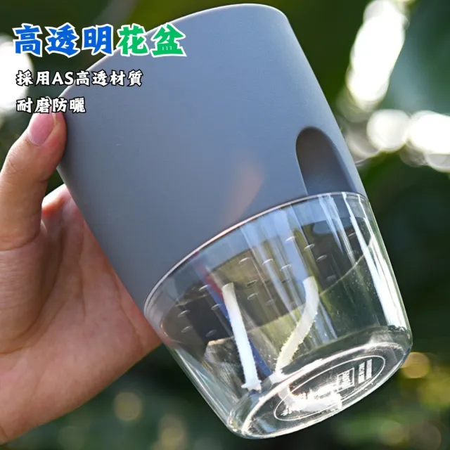 【品屋】透明自吸水花盆2.46吋A703(懶人花盆 自動澆水 吸水花盆 透明花盆 盆栽 植物花盆)