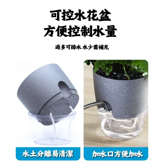 【品屋】透明自吸水花盆2.46吋A703(懶人花盆 自動澆水 吸水花盆 透明花盆 盆栽 植物花盆)
