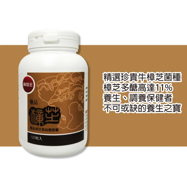 【葡萄王】極品樟芝菌絲體膠囊(120粒/盒)