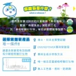 【QRIOUS 奇瑞斯】紫錐菊KK刻舒口腔噴霧 30mlX10入(兒童成人適用/紫錐菊/紫錐花/即刻舒緩/口腔防禦)