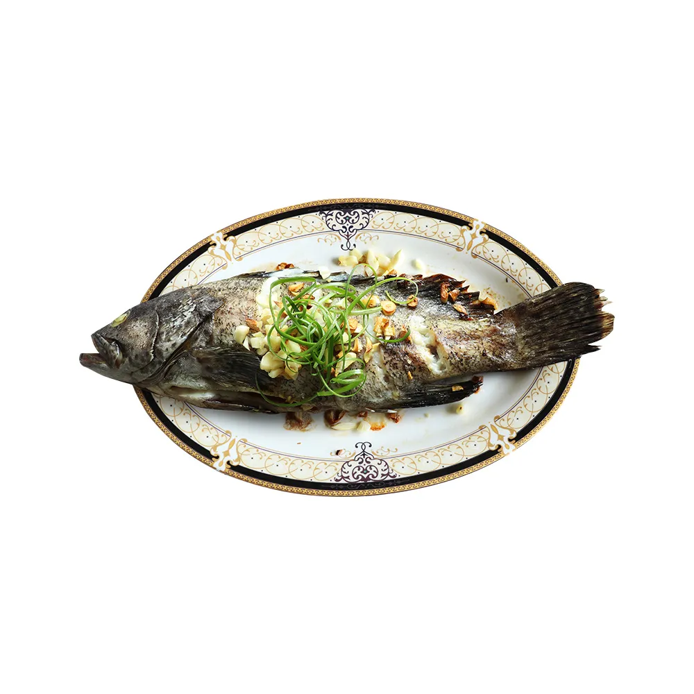 【優鮮配】團購組-特大活凍新鮮整尾石斑魚12尾(530g/尾)