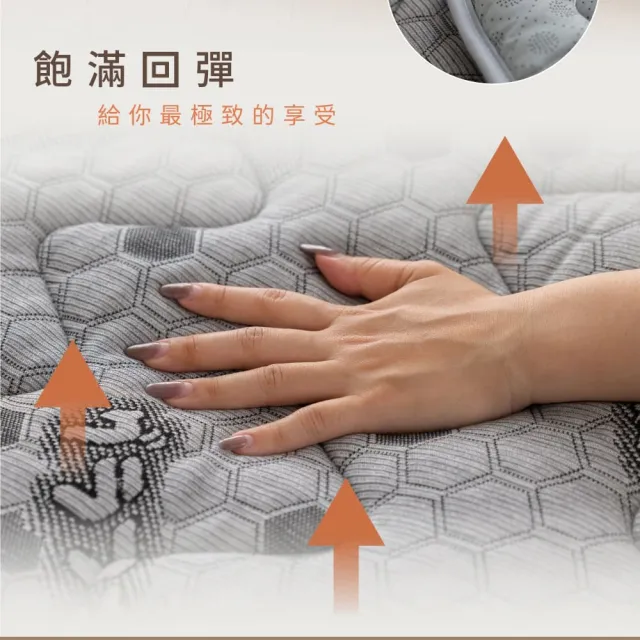【Jindachi 金大器】單人加大3.5尺-天絲石墨烯保暖墊(3M吸濕排汗 遠紅外線 台灣製造)