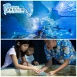 【花蓮遠雄海洋公園】夜宿水族館★適用7歲以上含早、晚餐(玩翻遊樂園、專人導覽)