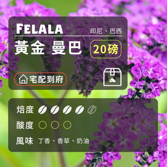 Felala 費拉拉 深烘焙 西達摩 巧克力日曬 曼巴咖啡 