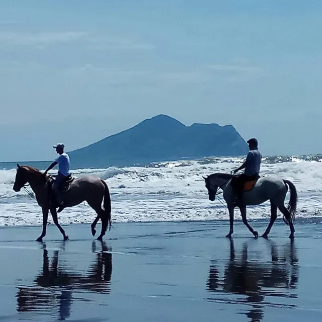 【外澳小山丘馬場】山海騎乘體驗(MO)