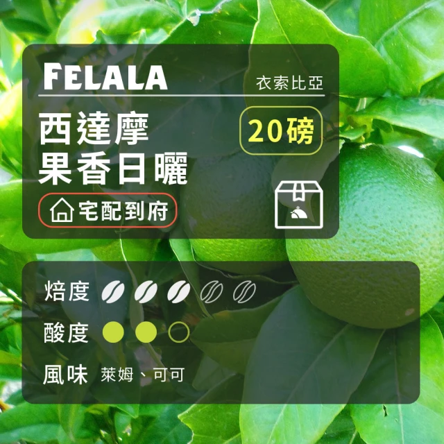 Felala 費拉拉 中烘焙 西達摩 果香日曬 咖啡豆 20磅箱購(入口後萊姆香氣清新順口 微酸點綴)