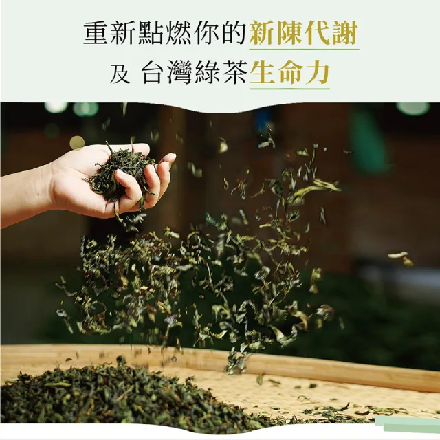 【發現茶】兒茶素綠茶系列三入組茶包(冷泡兒茶素綠茶2盒、熱泡黑豆綠茶1袋)