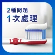 【SENSODYNE 舒酸定】進階護理 NEW專業抗敏護齦牙膏100gX3入(原味/亮白配方/沁涼薄荷)