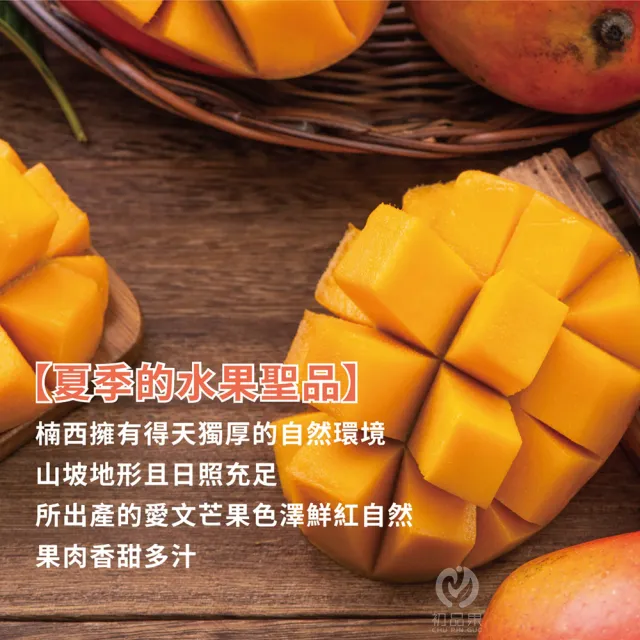 【初品果】台南愛文芒果10斤18-24顆x2箱(山坡地種植_在欉紅)