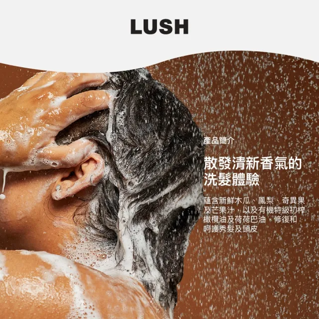 【LUSH 嵐舒】水果特調洗髮露 100g(洗髮精/修護/亮澤/調理頭皮)