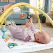 【Fisher price 費雪】基礎感官訓練健身器(健力架/健身架/遊戲地墊)
