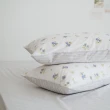 【翔仔居家】100%精梳純棉 床包+枕套-3件組-椿嶼(雙人)