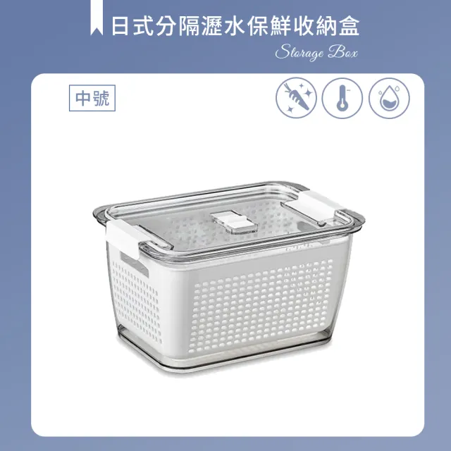 日式分隔瀝水保鮮收納盒-中號(雞蛋盒/水果盒/冷凍盒)