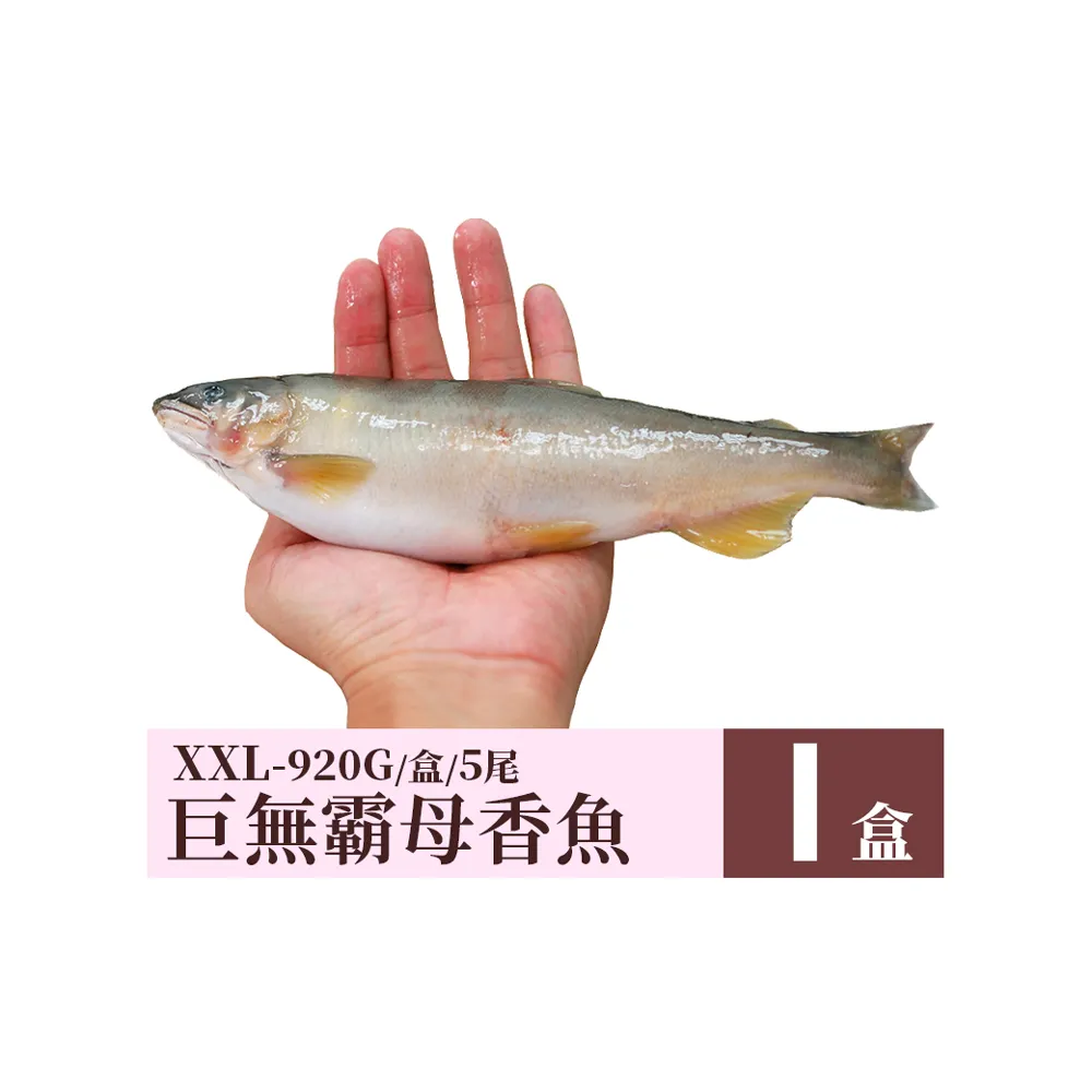 【優鮮配】宜蘭特選巨無霸XXL爆卵母香魚1盒(5尾/920g/盒)