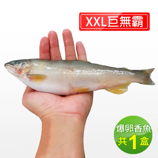 【優鮮配】宜蘭特選巨無霸XXL爆卵母香魚1盒(5尾/920g/盒/中秋烤肉)