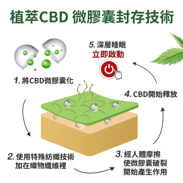 【LooCa】買1送1 石墨烯CBD科技速眠安神枕 涼感版(送醫療級護膝2盒)