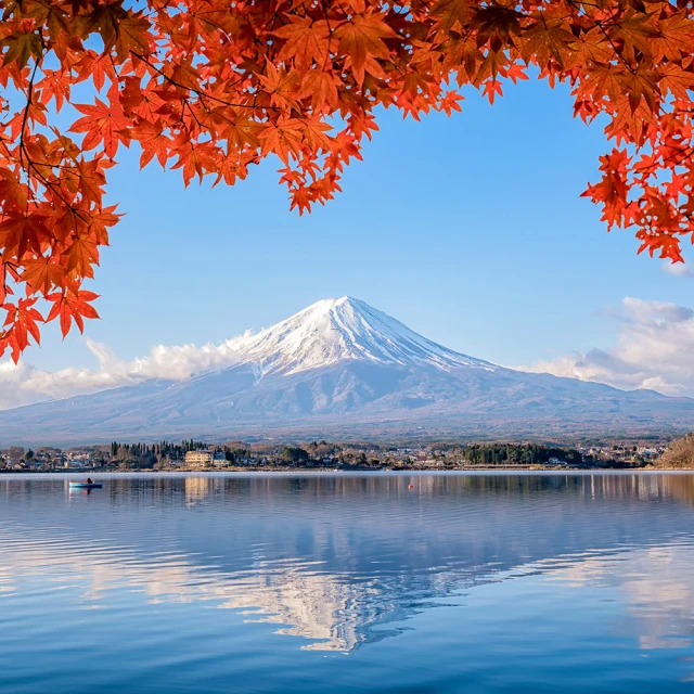 【喜鴻假期】【楓東京５日】河口湖紅葉祭、富士美景、箱根水上鳥居、迪士尼、螃蟹吃到飽