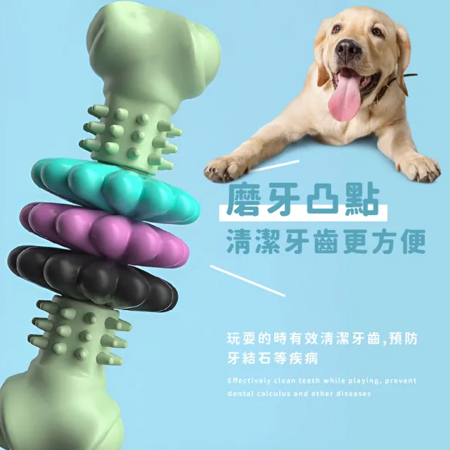 環狀骨頭耐咬寵物磨牙棒玩具(潔牙顆粒設計 幼犬 潔牙骨 互動 訓練球 狗牙刷 牙齒清潔 狗狗玩具球)