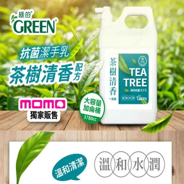 【Green 綠的】抗菌潔手乳3800mlx4桶(洗手乳 茶樹清香 加侖桶)