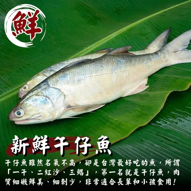 【三頓飯】台灣午仔魚清肉片-15片組(60-80g/片)