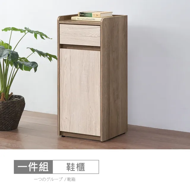 【時尚屋】[XV11]松浦灰橡雙色1.3x3尺鞋櫃XV11-K222(免運費/免組裝/鞋櫃)