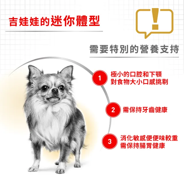 【ROYAL 法國皇家】吉娃娃成犬專用飼料 CHA 3KG(狗乾糧 狗飼料)