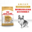 【ROYAL 法國皇家】吉娃娃成犬專用飼料 CHA 3KG(狗乾糧 狗飼料)