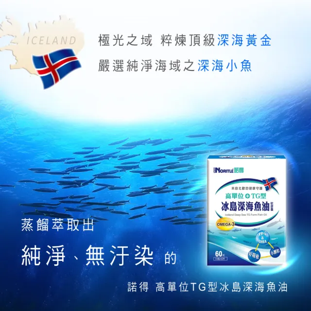 【諾得】高單位TG型冰島深海魚油軟膠囊60粒(1盒/顆粒小.好吸收.OMEGA3.EPA.DHA.深海小魚)