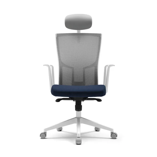 【SIDIZ】T20 網背人體工學椅(辦公椅 電腦椅 透氣網椅)