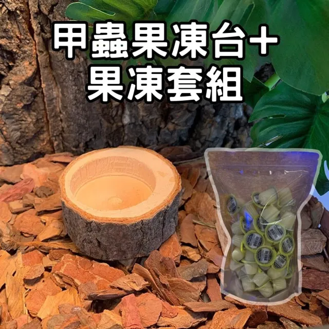 【Petvibe寵趣生活】甲蟲獨角仙果凍台50入果凍套組(甲蟲果凍/昆蟲果凍/寵物果凍/甲蟲/獨角仙)