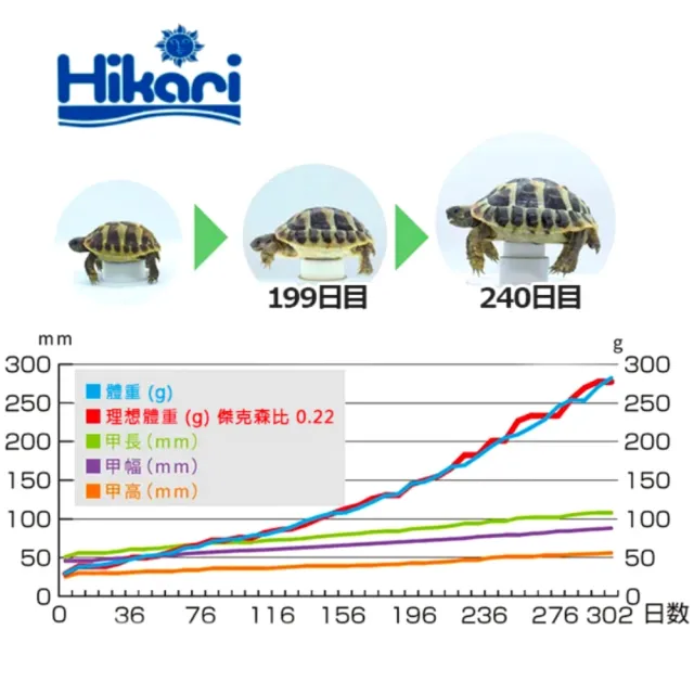 【HIKARI 高夠力】陸龜健康蔬食 XL 1kg 大粒/陸龜飼料/鬣蜥/幼龜/刺尾蜥(適各類型陸龜箱龜20645)