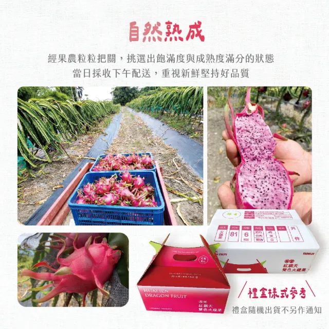 【禾鴻】花蓮高寮雙色火龍果5斤x1盒(6粒裝)