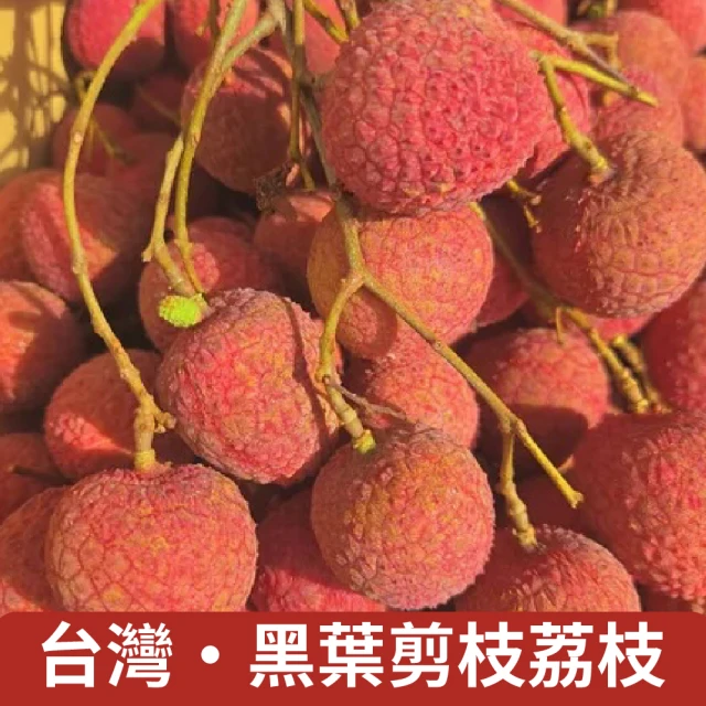 荔莊果園 高雄大樹剪枝玉荷包36mm特級大果禮盒x6盒(5斤