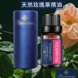 【Pavaruni】美國天然植物40種香味萃取香薰擴香精油10ml(薰香機 水氧機 薰衣草 檀香 玫瑰 雪松 白茶 茉莉)